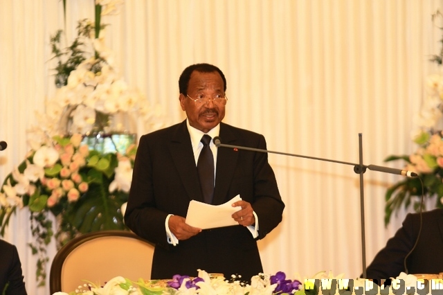 State Visit to Cameroon of H.E. François HOLLANDE, President of the French Republic - 03.07.2015 (29)