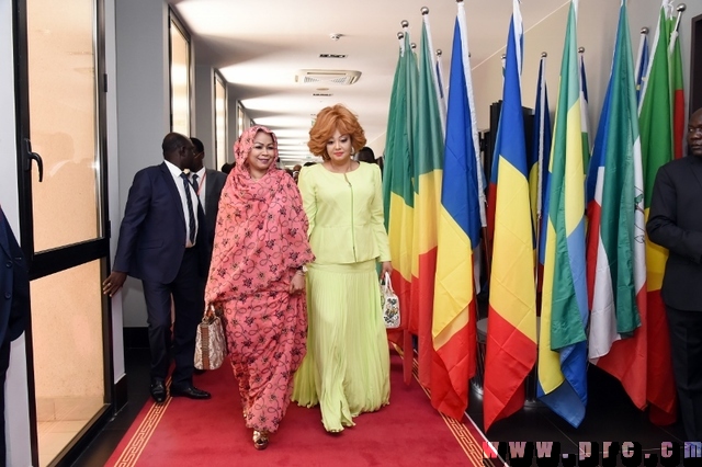 Sommet Extraordinaire de la CEMAC - N'Djamena - 31.10.2017 (6)