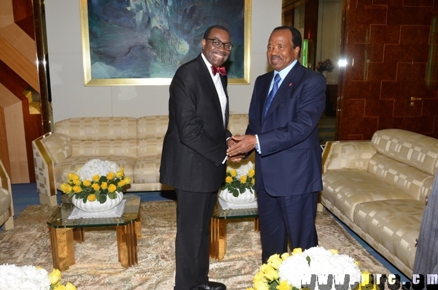 Leadership en Afrique -  l’hommage du président de la BAD à Paul BIYA (12)